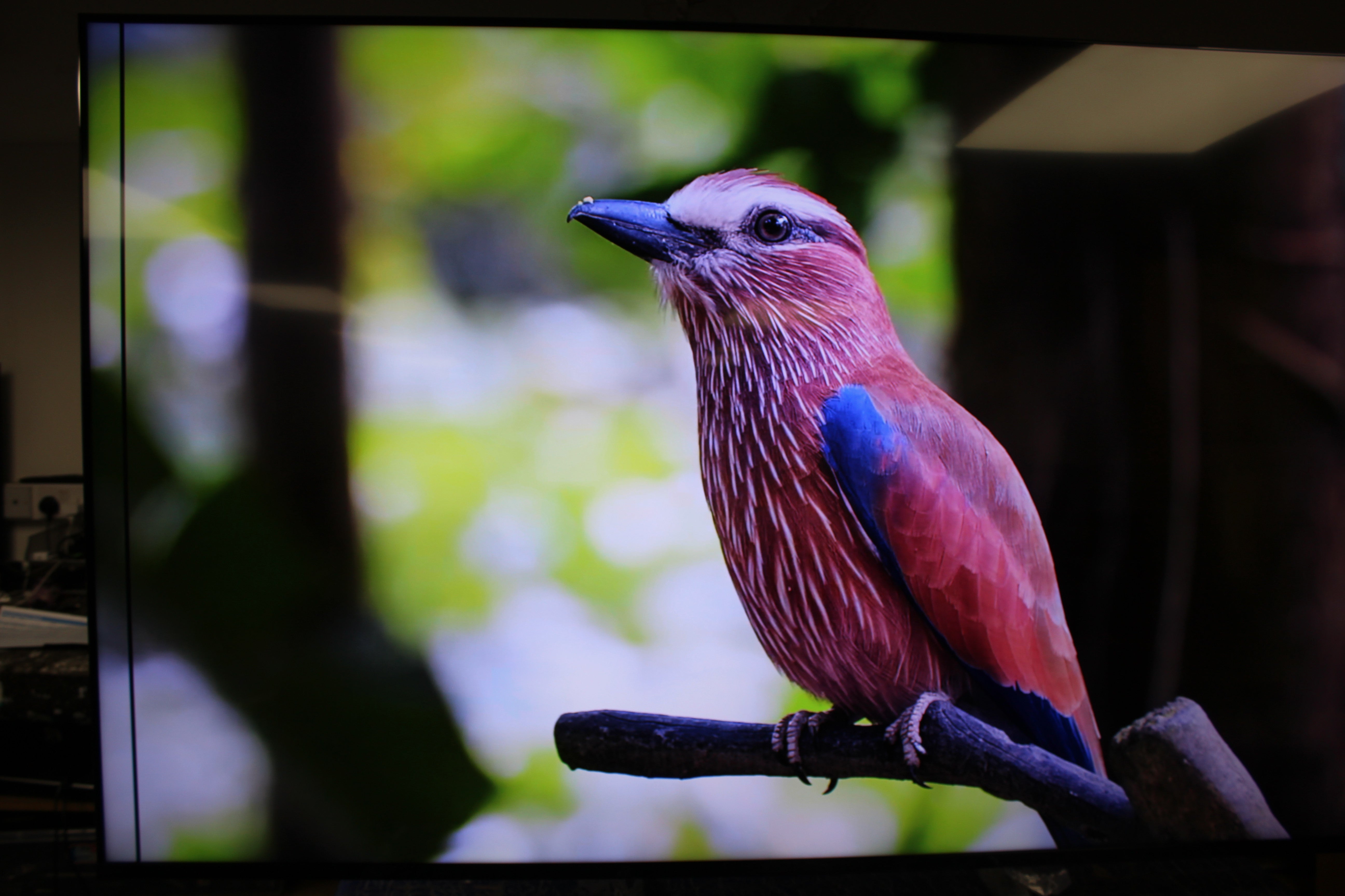 75" Sony Bravia XR75X90JU 4K HDR Google Smart LED TV - Electronic World TV